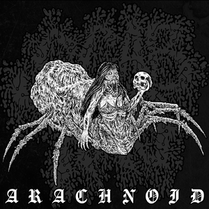 Arachnoid