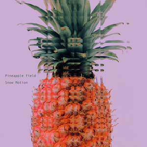 Pineapple Field