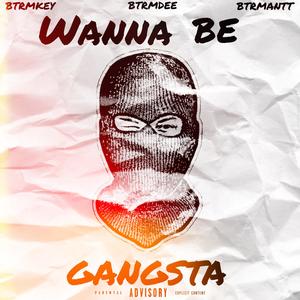 Wanna Be Gangsta