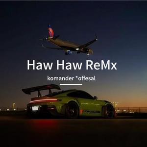 Haw Haw ReMx