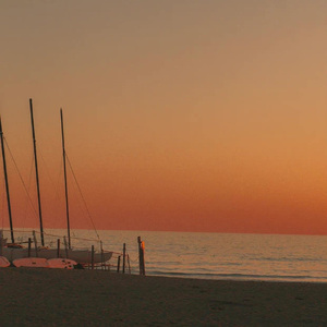 只要平凡（单簧管版本）