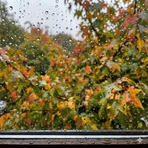 Rain Drops