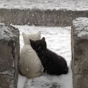 Enemies & Friends (slowed)