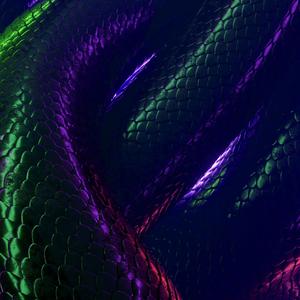 响尾蛇（prod by tired）