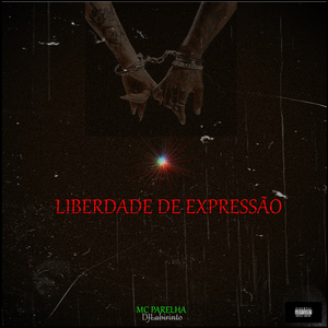 Liberdade de Expressão