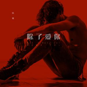 除了爱你(90s复刻 ver)