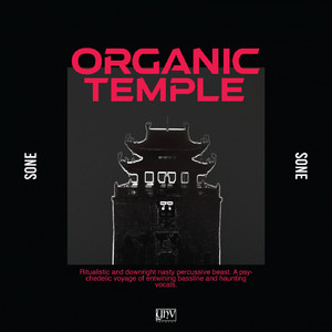 Organic Temple (Original Mix)