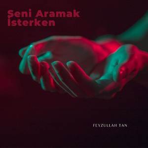 Seni Aramak İsterken