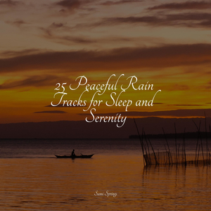 Rain From the Heavens