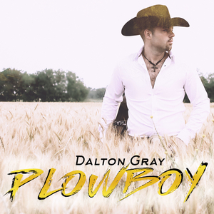 Plowboy