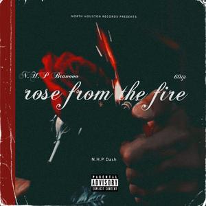 Rose From The Fire