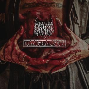 DYNGBYDSGN