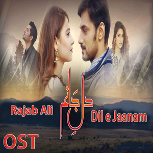 Dil E Jaanam  (From "Dil E Jaanam")