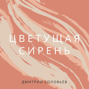 Цветущая сирень