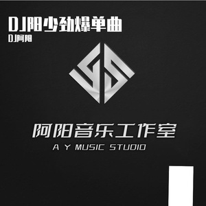结婚吧 (2017光音坊DJ阳少ReMix)
