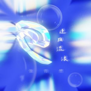 逆风流浪 伴奏