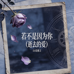 若不是因为你（逝去的爱）