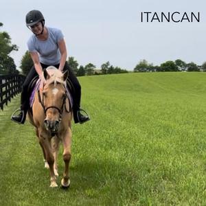 Itancan (español)