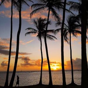 Napiyosun Mesela（改版）