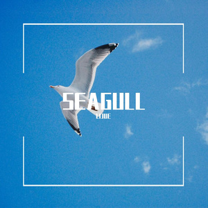 Seagull
