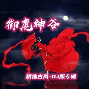 雁归寻春 (DJ版)