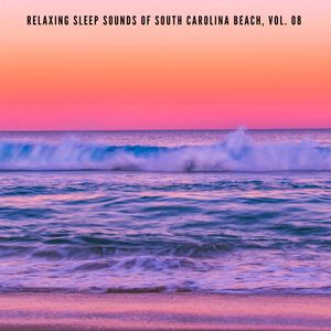 Nature Love of Coniferous Forest