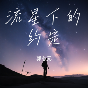 流星下的约定