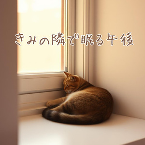 きみの隣で眠る午後