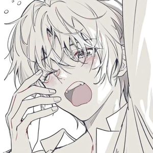 鸽子