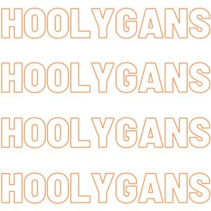 Hoolygans