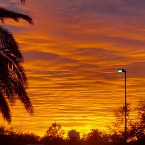 Only you by Tray2krazy (feat. Hugh3z)