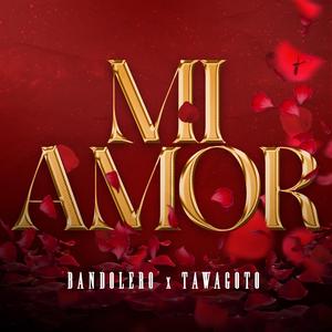 Mi Amor (feat. Tawagoto)