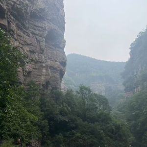 影子随行