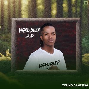 Vigro Deep 2.0