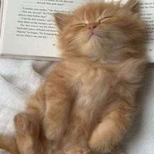 Shadowboxin' (sped up)