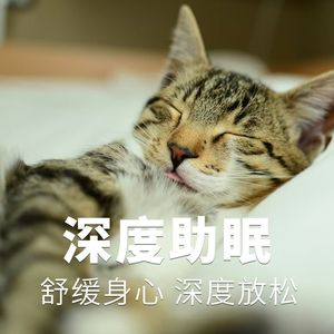 雨声男女哼唱助眠