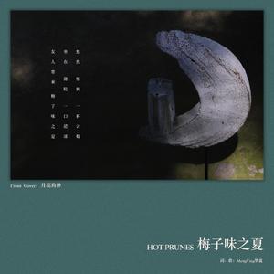 梅子味之夏