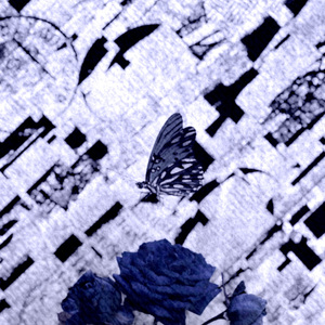 Miseria
