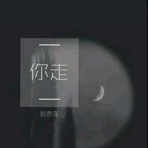 你走（伤感）（翻自 松紧先生（李宗锦））