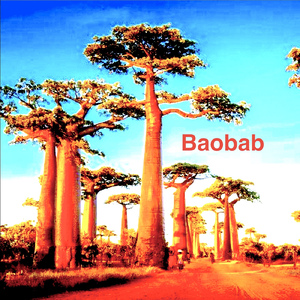 Boabab