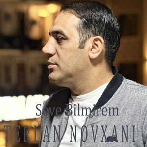 Seve Bilmirem (Remix)
