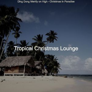 In the Bleak Midwinter - Beach Christmas