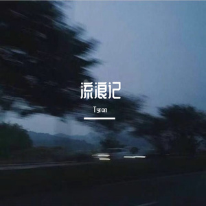 流浪记（翻自 杨宗纬）