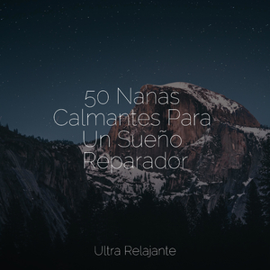 Perdido en El Zen