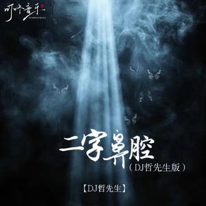 二字鼻腔(DJ版)