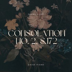 Liszt:Consolation No. 2, S.172