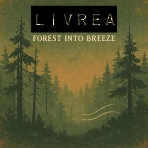 Forest Into Breeze