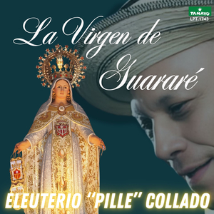 Las elecciones pasadas