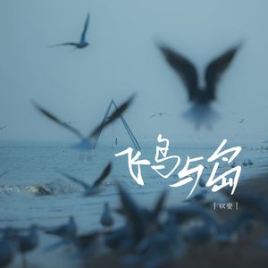 飞鸟与岛（伴奏）