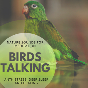 The Path Of Liberation